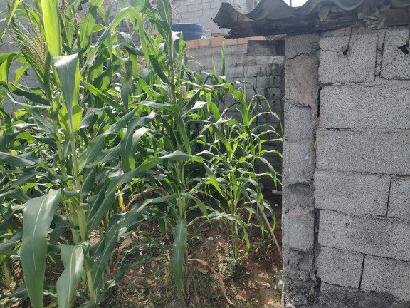 Imagem Terreno à Venda, 120 m² em Jardim Itapuã - Itaquaquecetuba Imagem Terreno à Venda, 120 m² em Jardim Itapuã - Itaquaquecetuba