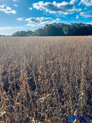 Imagem Fazenda à Venda, 822 m² em Zona Rural - Araguaína Imagem Fazenda à Venda, 822 m² em Zona Rural - Araguaína