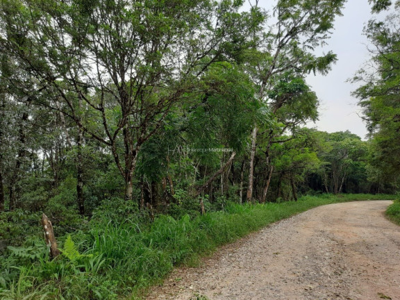 Imagem Fazenda à Venda, 127.997 m² em Pacotuba - Almirante Tamandaré