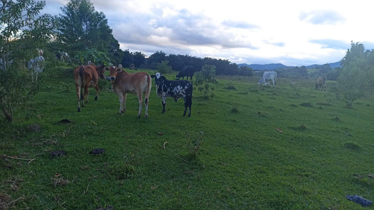 Imagem Fazenda à Venda, 100 m² em Estiva - Taubaté Imagem Fazenda à Venda, 100 m² em Estiva - Taubaté