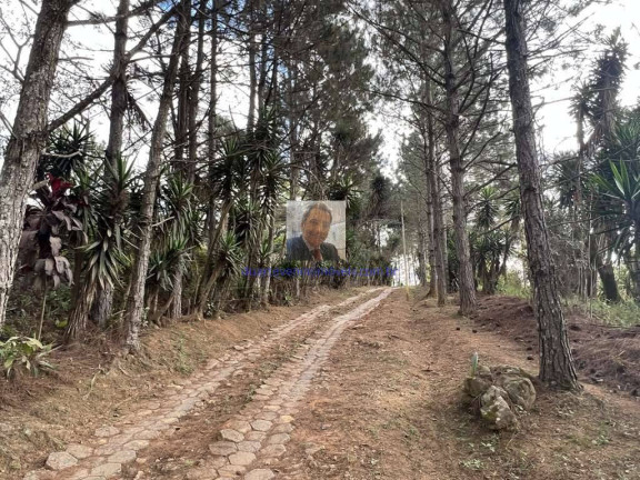 Imagem Terreno à Venda, 18.455 m² em Taboleiro Verde - Cotia Imagem Terreno à Venda, 18.455 m² em Taboleiro Verde - Cotia