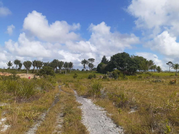 Imagem Imóvel com 1 Quarto à Venda, 774.400 m² em Mogiquiçaba - Belmonte Imagem Imóvel com 1 Quarto à Venda, 774.400 m² em Mogiquiçaba - Belmonte