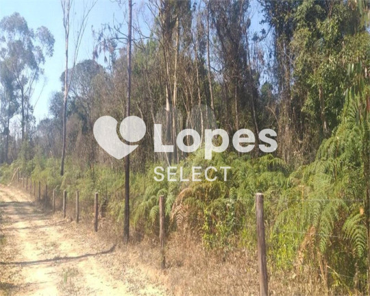 Imagem Terreno à Venda, 121.000 m² em Santo Amaro - São Paulo Imagem Terreno à Venda, 121.000 m² em Santo Amaro - São Paulo