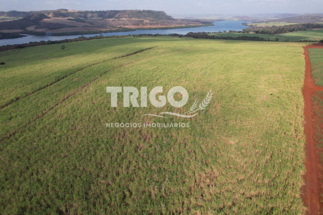 Imagem Fazenda à Venda, 56 m² em Zona Rural - Igarapava