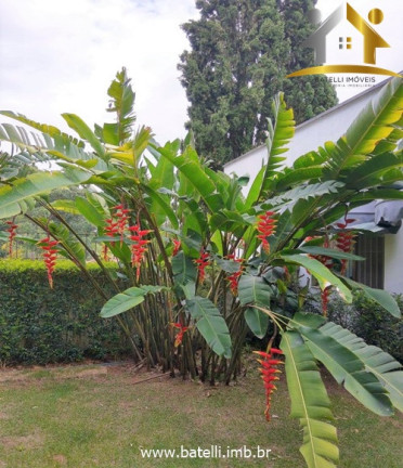 Imagem Casa de Condomínio com 4 Quartos à Venda, 640 m² em Granja Viana - Cotia Imagem Casa de Condomínio com 4 Quartos à Venda, 640 m² em Granja Viana - Cotia