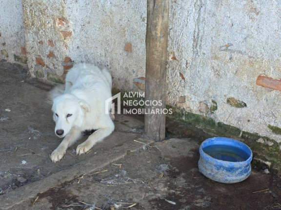 Imagem Chácara com 3 Quartos à Venda, 53.000 m² em Estrada Jardim - Itanhandu Imagem Chácara com 3 Quartos à Venda, 53.000 m² em Estrada Jardim - Itanhandu