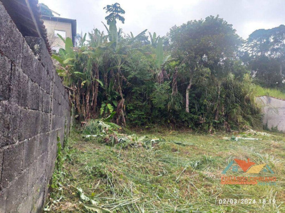 Imagem Terreno à Venda, 337 m² em Massaguaçu - Caraguatatuba