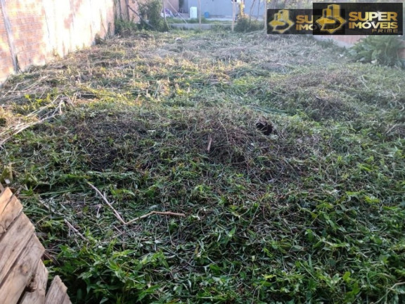 Imagem Imóvel com 2 Quartos à Venda, 490 m² em Areal - Pelotas Imagem Imóvel com 2 Quartos à Venda, 490 m² em Areal - Pelotas
