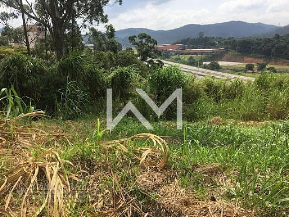 Imagem Terreno à Venda, 8.000 m² em Parque Edu Chaves - São Paulo Imagem Terreno à Venda, 8.000 m² em Parque Edu Chaves - São Paulo