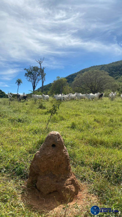 Imagem Fazenda à Venda, 37 m² em Zona Rural - Anápolis Imagem Fazenda à Venda, 37 m² em Zona Rural - Anápolis
