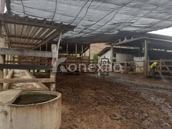 Imagem Fazenda à Venda, 90 m² em Itapeva - Paraibuna Imagem Fazenda à Venda, 90 m² em Itapeva - Paraibuna