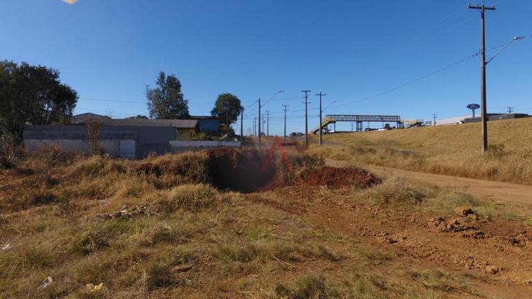 Imagem Terreno para Alugar, 2.000 m² em Primavera - Guarapuava Imagem Terreno para Alugar, 2.000 m² em Primavera - Guarapuava