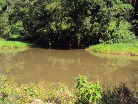 Imagem Fazenda à Venda, 48.000 m² em Centro - São Francisco Xavier Imagem Fazenda à Venda, 48.000 m² em Centro - São Francisco Xavier