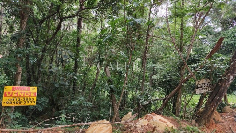 Imagem Terreno à Venda, 652 m² em Bosque Dos Eucaliptos - Atibaia Imagem Terreno à Venda, 652 m² em Bosque Dos Eucaliptos - Atibaia