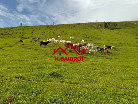 Imagem Chácara à Venda, 193 m² em Aroeira - Guaratinguetá Imagem Chácara à Venda, 193 m² em Aroeira - Guaratinguetá