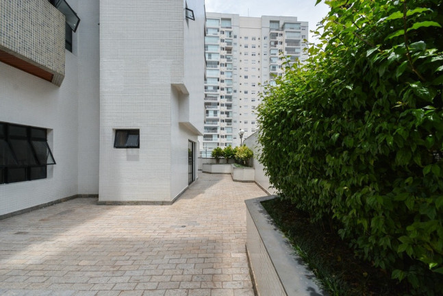 Imagem Apartamento com 3 Quartos à Venda, 138 m² em Chácara Inglesa - São Paulo
