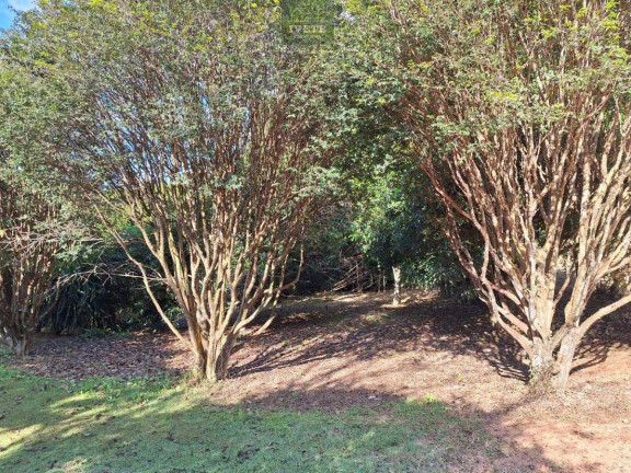Imagem Chácara com 1 Quarto à Venda, 22 m² em Jabuticabal - Socorro Imagem Chácara com 1 Quarto à Venda, 22 m² em Jabuticabal - Socorro