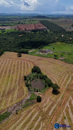 Imagem Fazenda à Venda, 30 m² em Zona Rural - Guapó Imagem Fazenda à Venda, 30 m² em Zona Rural - Guapó