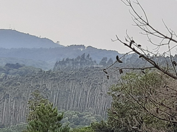 Imagem Fazenda à Venda, 127.997 m² em Pacotuba - Almirante Tamandaré
