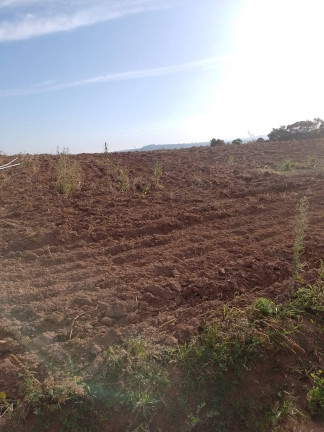 Imagem Chácara à Venda, 133 m² em Bairro Dos Leites - Piedade Imagem Chácara à Venda, 133 m² em Bairro Dos Leites - Piedade