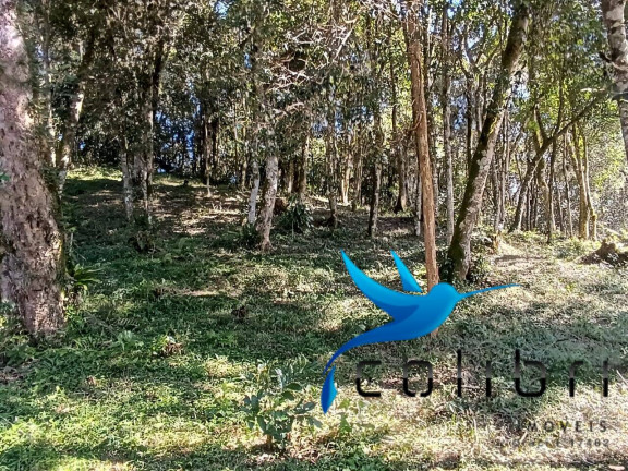 Imagem Chácara com 2 Quartos à Venda, 6.000 m² em Palmital - Agudos Do Sul Imagem Chácara com 2 Quartos à Venda, 6.000 m² em Palmital - Agudos Do Sul