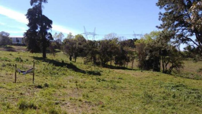 Imagem Terreno à Venda, 24.337 m² em Thomaz Coelho - Araucária