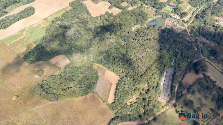 Imagem Imóvel com 1 Quarto à Venda, 56.643 m² em Ferraria - Campo Largo Imagem Imóvel com 1 Quarto à Venda, 56.643 m² em Ferraria - Campo Largo
