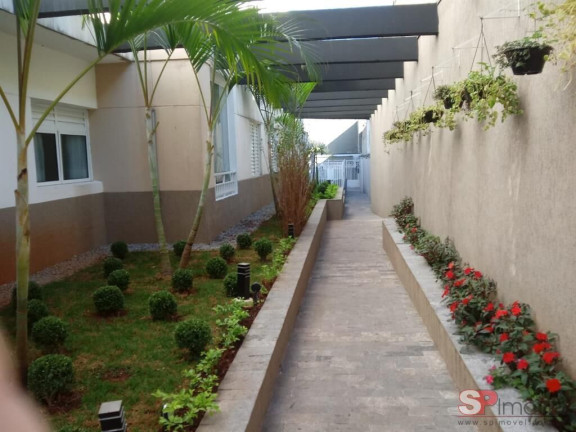 Imagem Apartamento com 3 Quartos à Venda, 69 m² em Sítio Do Mandaqui - São Paulo Imagem Apartamento com 3 Quartos à Venda, 69 m² em Sítio Do Mandaqui - São Paulo