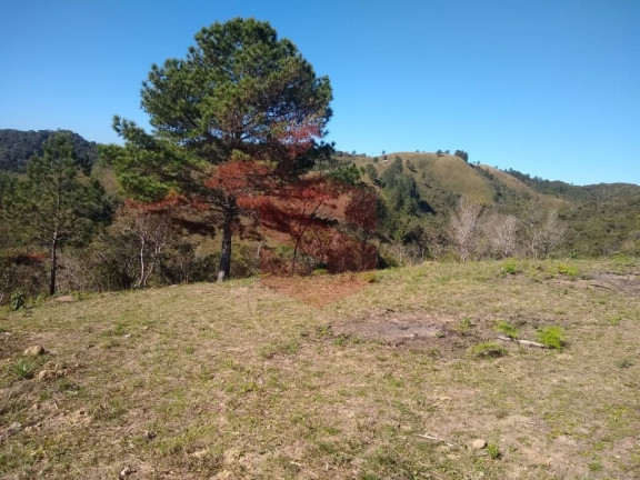 Imagem Chácara com 1 Quarto à Venda, 1 m² em Itambezinho - Campo Largo