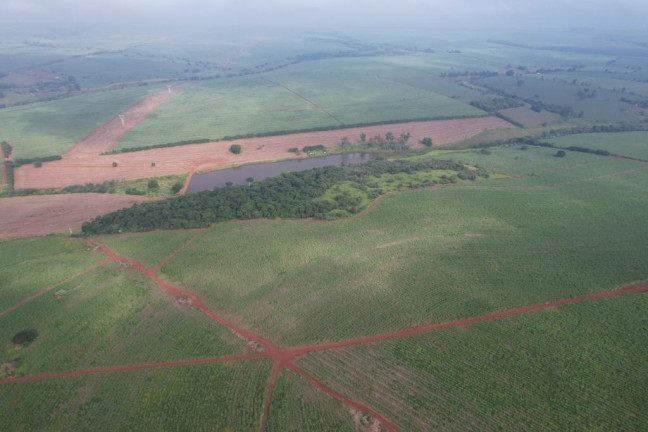 Imagem Fazenda à Venda, 53 m² em Zona Rural - Ipauçu Imagem Fazenda à Venda, 53 m² em Zona Rural - Ipauçu