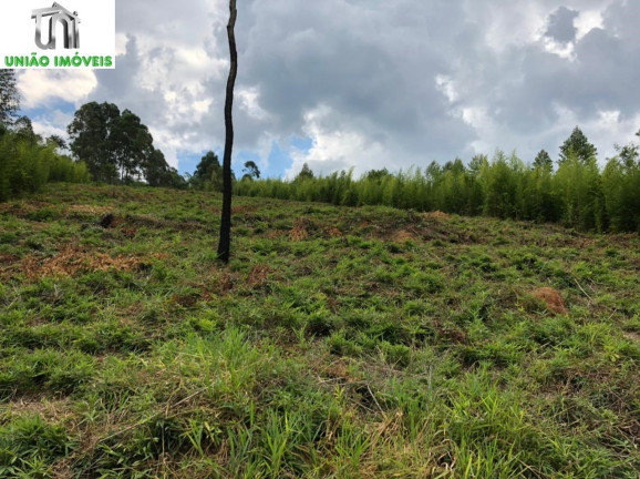 Imagem Terreno à Venda, 2.501 m² em Bairro Agudos - Bragança Paulista Imagem Terreno à Venda, 2.501 m² em Bairro Agudos - Bragança Paulista