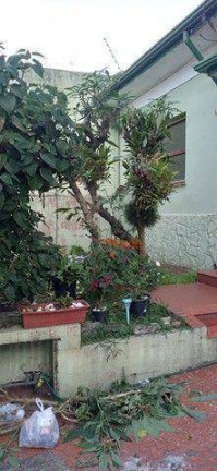 Imagem Casa com 2 Quartos para Alugar, 151 m² em Centro - Guarulhos Imagem Casa com 2 Quartos para Alugar, 151 m² em Centro - Guarulhos