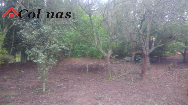 Imagem Imóvel com 3 Quartos à Venda, em Depois Do Centro - Ibiúna Imagem Imóvel com 3 Quartos à Venda, em Depois Do Centro - Ibiúna