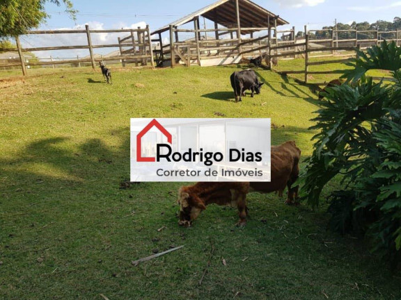 Imagem Casa de Condomínio com 3 Quartos para Alugar, 215 m² em Jardim Ermida I - Jundiaí Imagem Casa de Condomínio com 3 Quartos para Alugar, 215 m² em Jardim Ermida I - Jundiaí
