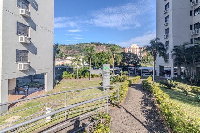 Imagem Apartamento com 3 Quartos à Venda, 78 m² em Jardim Carvalho - Porto Alegre