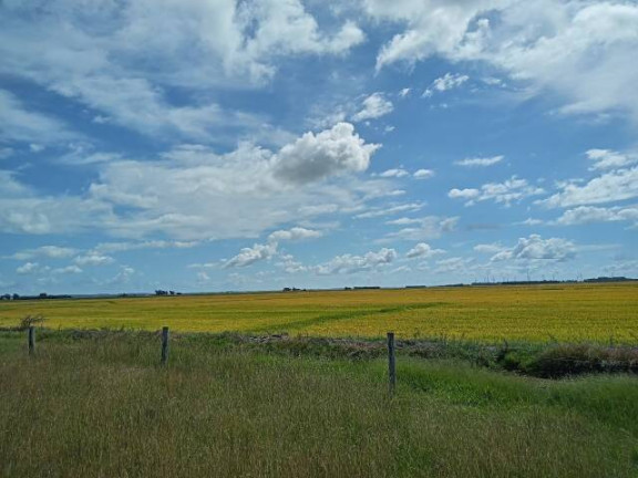Chácara à Venda, 194 m² em águas Claras - Viamão