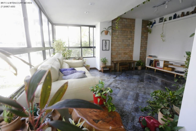 Imagem Cobertura com 3 Quartos à Venda, 240 m² em Horto Florestal - Salvador Imagem Cobertura com 3 Quartos à Venda, 240 m² em Horto Florestal - Salvador