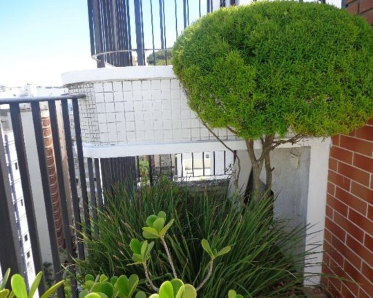 Imagem Imóvel com 3 Quartos à Venda, 306 m² em Pitangueiras - Guarujá