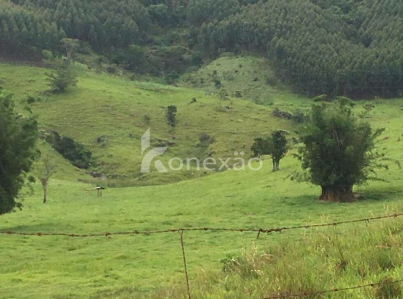 Imagem Fazenda à Venda, 400 m² em Jardim Prado - Santa Branca Imagem Fazenda à Venda, 400 m² em Jardim Prado - Santa Branca