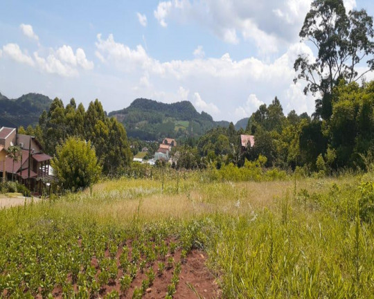 Imagem Imóvel à Venda, 970 m² em Centro - Linha Nova Imagem Imóvel à Venda, 970 m² em Centro - Linha Nova