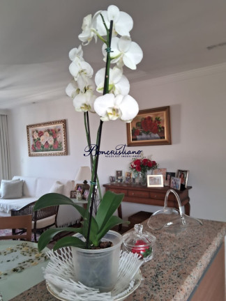 Imagem Apartamento com 2 Quartos à Venda, 132 m² em Tucuruvi - Sao Paulo