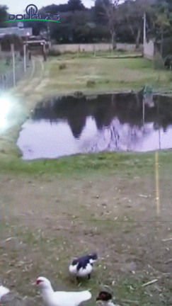 Imagem Terreno à Venda, 8.000 m² em águas Claras - Viamão