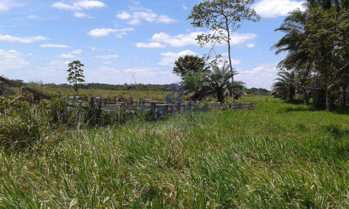 Imagem Fazenda à Venda, 1.742.400 m² em Zona Rural - Cachoeira Imagem Fazenda à Venda, 1.742.400 m² em Zona Rural - Cachoeira