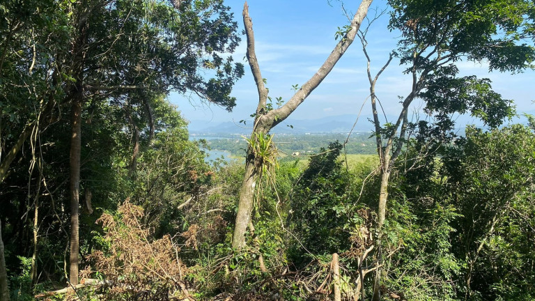 Imagem Terreno à Venda, 3.418 m² em Praia Do Rosa - Imbituba
