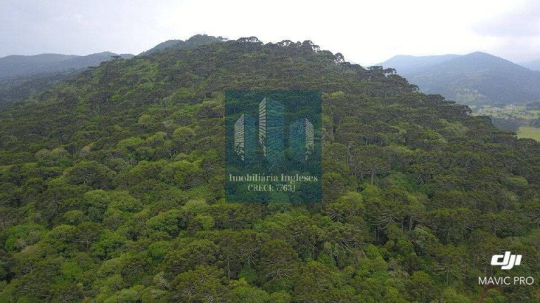 Imagem Chácara à Venda, 10 m² em Urubici
