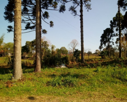 Imagem Imóvel à Venda, 428 m² em Bavária - Nova Petrópolis Imagem Imóvel à Venda, 428 m² em Bavária - Nova Petrópolis