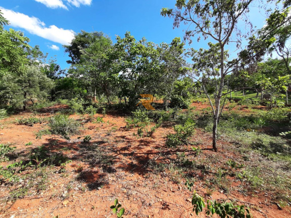 Imagem Terreno à Venda, 5.000 m² em Campinho - Lagoa Santa Imagem Terreno à Venda, 5.000 m² em Campinho - Lagoa Santa