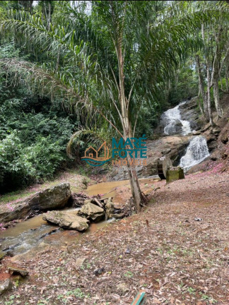 Imagem Fazenda à Venda, 56 m² em Centro - São José Do Alegre Imagem Fazenda à Venda, 56 m² em Centro - São José Do Alegre
