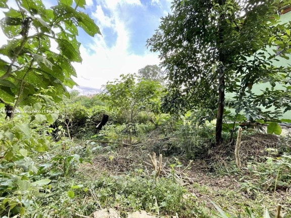 Imagem Terreno à Venda, em Vila Santo Antônio - Cotia Imagem Terreno à Venda, em Vila Santo Antônio - Cotia