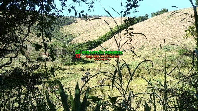 Imagem Fazenda à Venda, 20 m² em Centro - Monteiro Lobato Imagem Fazenda à Venda, 20 m² em Centro - Monteiro Lobato